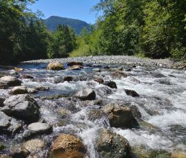 HB = 0,5,-3 FN=0 FB = 0 outdoor = 1 ISO = 50.000000 exp=0.841751 return = 0 AC Bscale(1.3) Dscale(1.3) enhenced_level(0) isOutdoor(0) result(1) FM0 CR1.04 FC111110001: bfalic 0000X:zzzzzH87330bzzzzzz0 9 b05305c04385f04224503ea1040 c30 79242 0 0393178383 0 0 0 0 0 0 0 0383e18be1ef 15c 1370e1f0e22e 15a 135de1dfe230 159 1371e19fe1f5 258 137ae1e8e232 258 1383e202e24a 257 138ce20ce246 257 1393e214e25f 257 138ce20de24f 358 12321fd28 332632d 02b 035 027 02e333834372a332a2833342f476d54605c2d4c2935604e5e523e473c64483242622e22403a3529353e57204f3128422c344648448f3a406c3a138f1388138813881388138813881388138813881388138813881388138813881388138813881388138e1388138813881388138813881388138f138813881388138b138813881388170b138813881388170b138813881388170b13881388138816e513881388138816e513881388138816e51388138813881389138813881388138813881388138816e513881388138816f81388138813881388138813881388138813881388138813881388138813881388138813881388138813881388138813b213881388138813881388138813881388138813881388138813881388138813881388138813881388138813881388138813881388138813881388138813881388138813881388138813881388138813881388138813881388138813881388