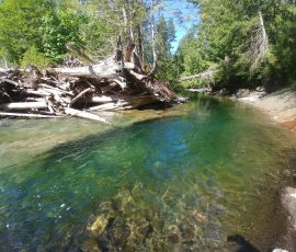 FM0 CR0.51 FC741553204741684276741749812741815348741880884741356852741422388741487924741618996: bfalic 0000X