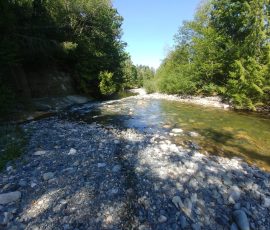 HB = 0,4,-3 FN=0 FB = 0 outdoor = 1 ISO = 50.000000 exp=3.831418 return = 0 FM0 CR0.51 FC741553204741684276741749812741815348741880884741356852741422388741487924741618996: bfalic 0000X