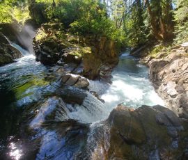 HB = 0,6,-5 FN=0 FB = 0 outdoor = 1 ISO = 50.000000 exp=8.333334 return = 0 FM0 CR0.51 FC741553204741684276741749812741815348741880884741356852741422388741487924741618996: bfalic 0000X