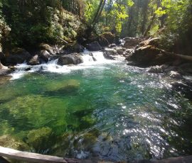 FshMNS G1.0 IN3 N1 O0.60 Y0.0 C0.0 YT0 CT0 S0 C30 PE0 FM0 CR0.51 FC741553204741684276741749812741815348741880884741356852741422388741487924741618996: bfalic 0000X